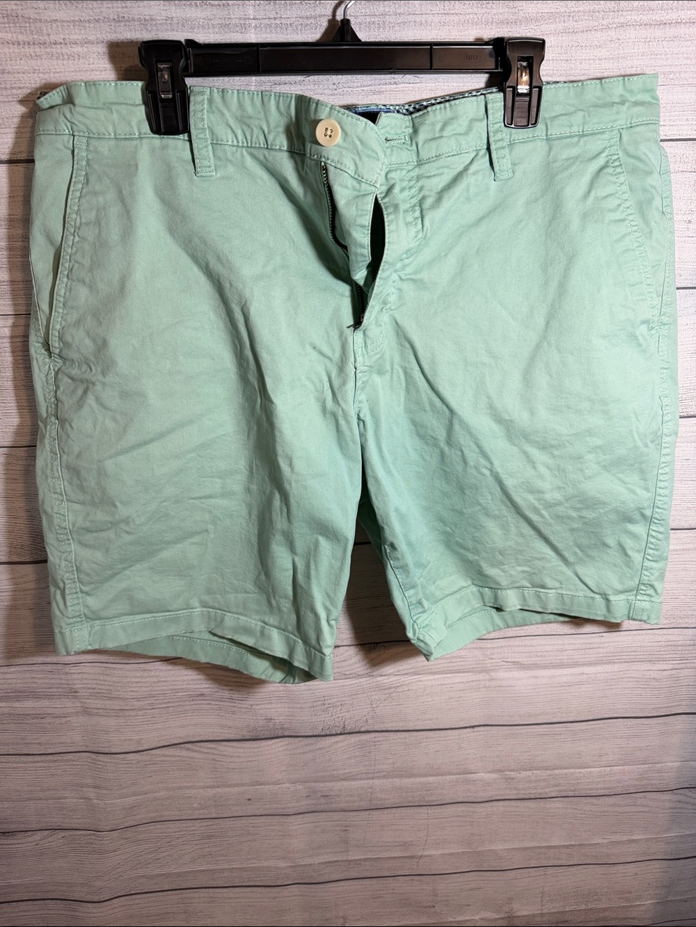 Men's Flat Front Chino Shorts in Mint